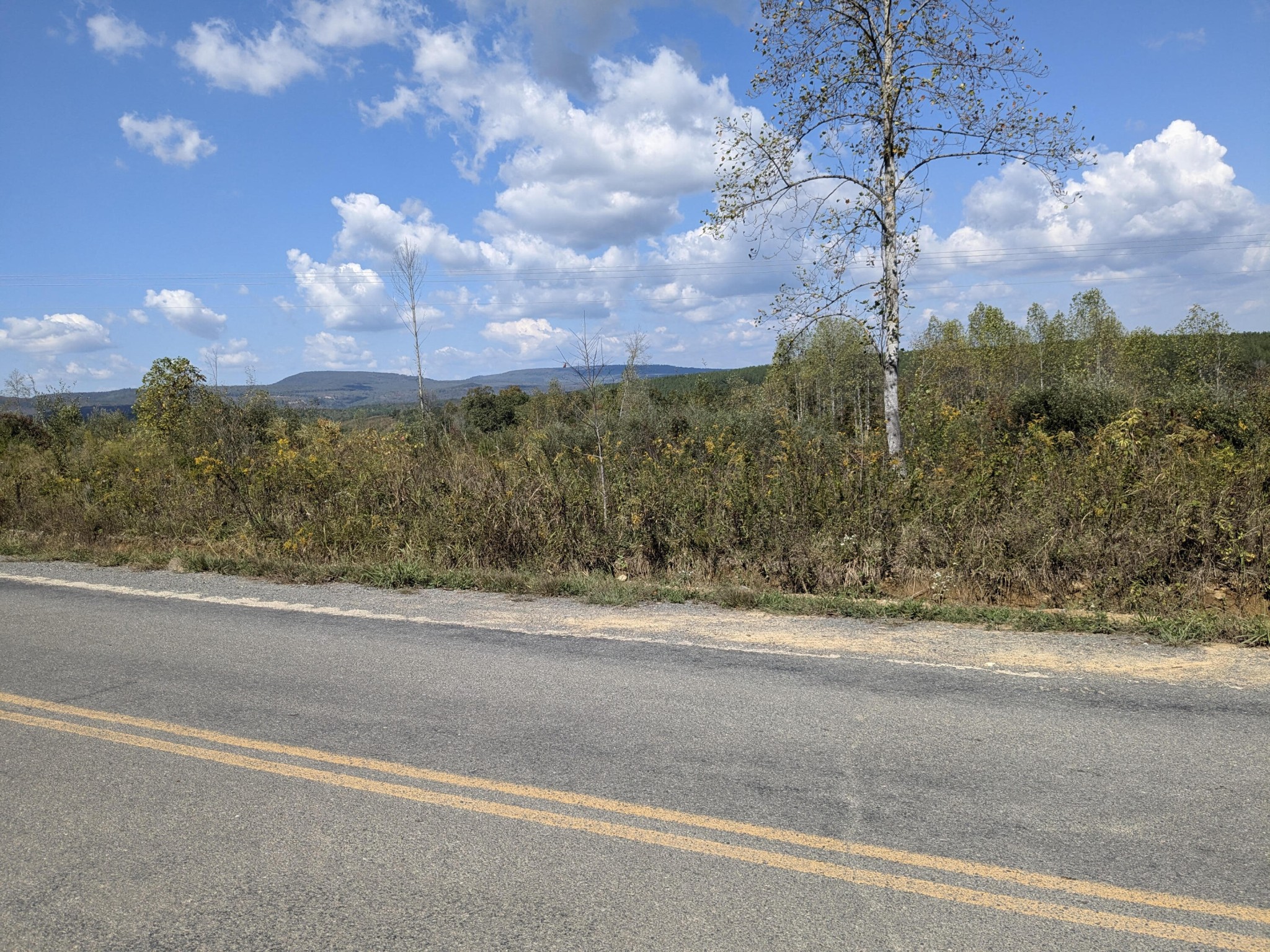 0 Shut In Gap Road Spring City, TN 37381 - Photo 1 of 7 Gallery Image 1