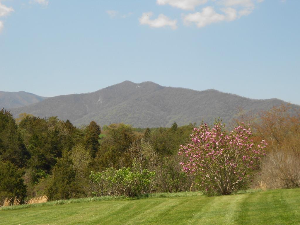573 South F T Valley Road Banco, VA 22727 - Photo 13 of 14 a view of mountain with lake in view