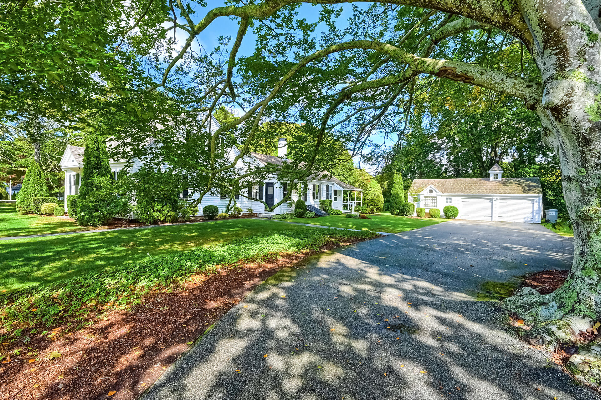 497 Main Street Centerville, MA 02632 - Photo 4 of 50 a view of backyard with green space