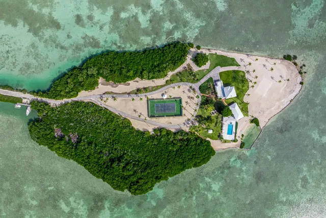 a group of palm trees sitting in front of a building with trees