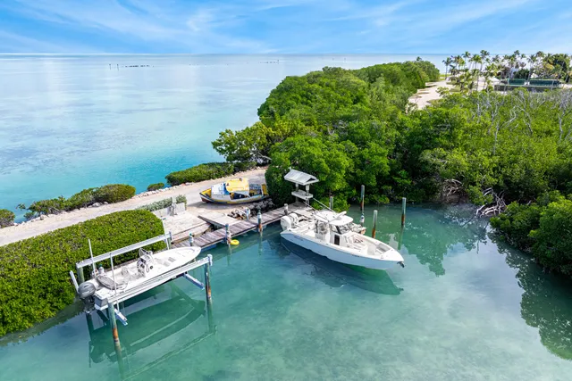 a view of a yard with a slide