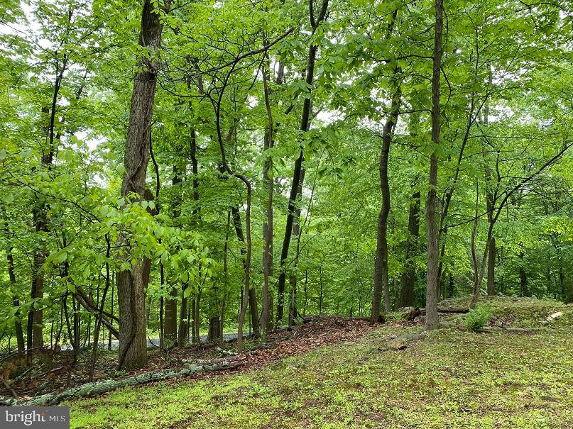 0 Merkle Road Boyertown, PA 19512 - Photo 1 of 18 Gallery Image 1