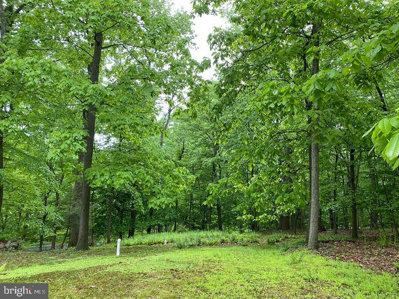 0 Merkle Road Boyertown, PA 19512 - Photo 4 of 18 Gallery Image 4