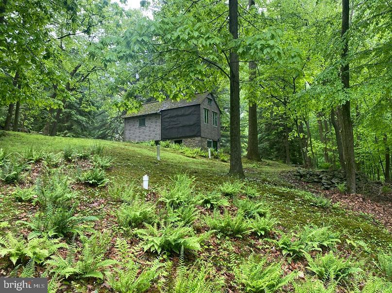 0 Merkle Road Boyertown, PA 19512 - Photo 10 of 18 Gallery Image 10