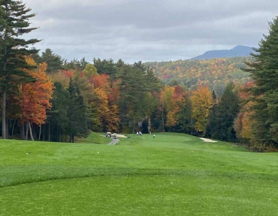 16 Clearwater Drive, Unit 132 Grantham, NH 03753 - Photo 2 of 4