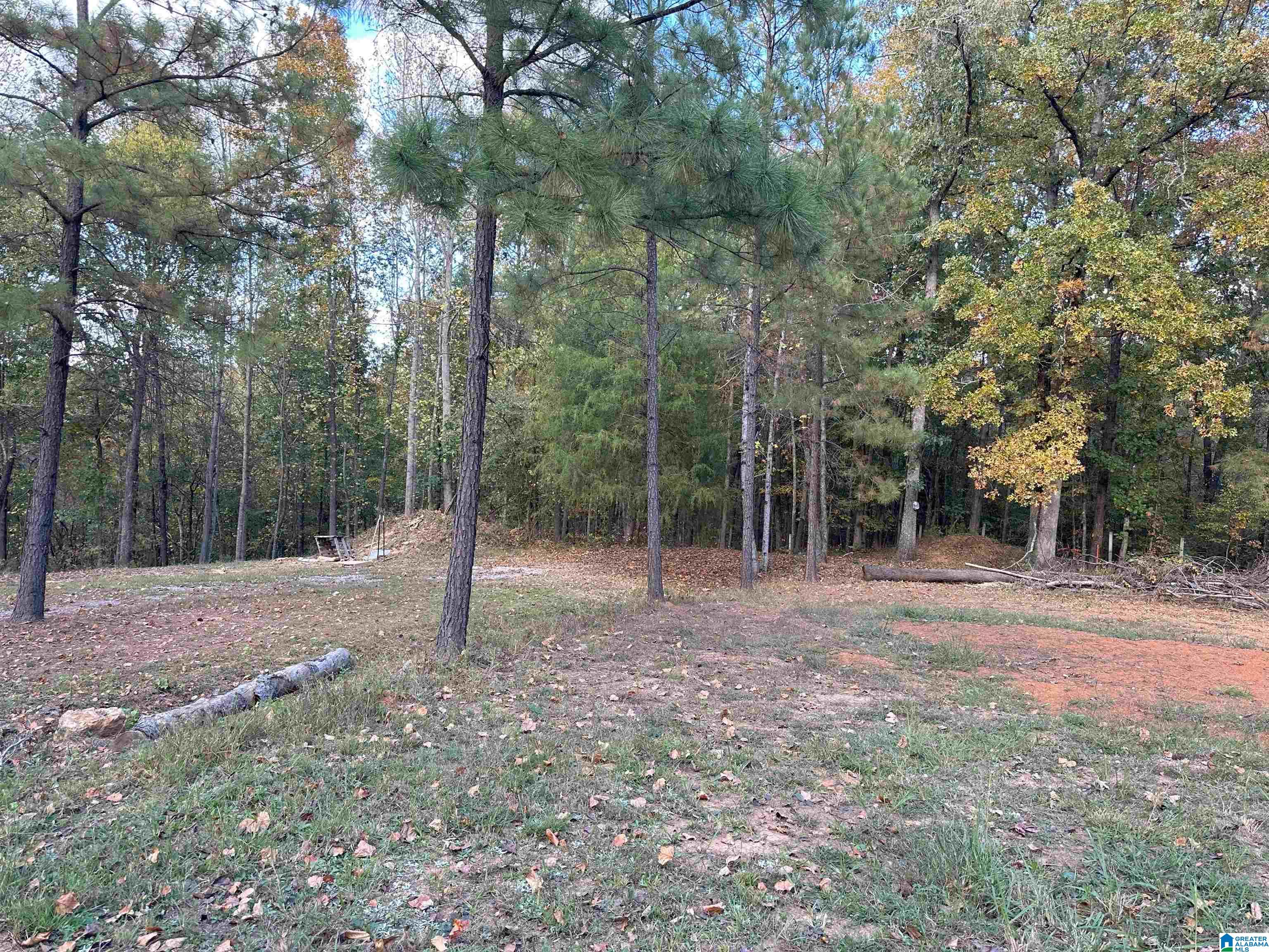 55 Oak Tree Street Cropwell, AL 35054 - Photo 15 of 27