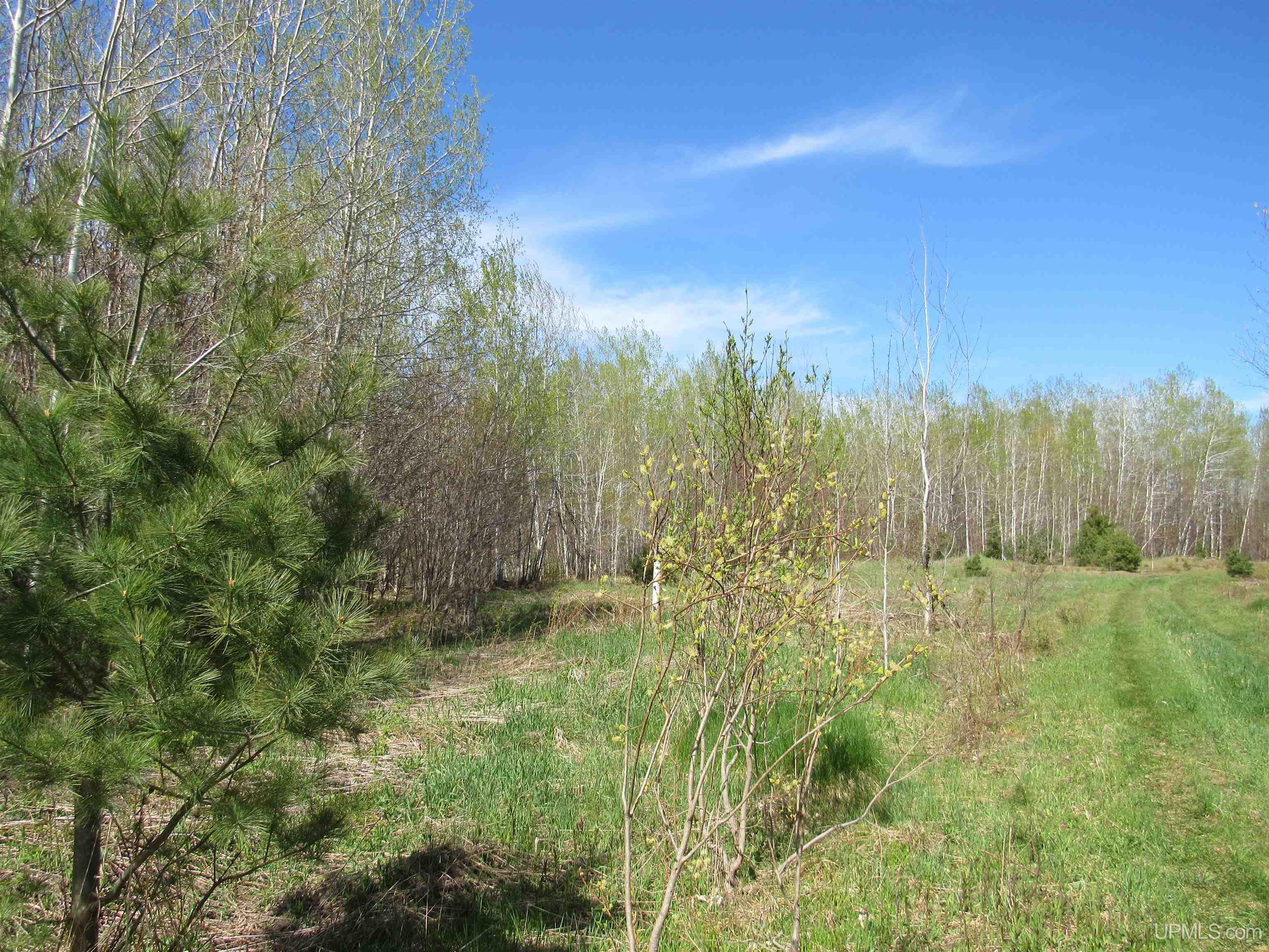 Tbd Off Rice Lake Road, Unit NO DRIVE BYS Lake Linden, MI 49945 - Photo 1 of 40