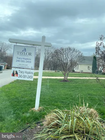 a view of a back yard of the house