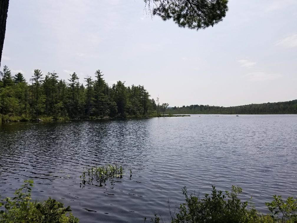 113 North Pond Road Chesterville, ME 04938 - Photo 10 of 35 20180806_133330_resized