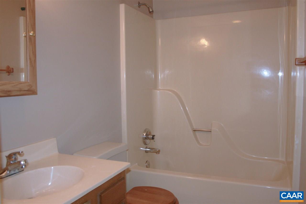 102 Thacker Road Mineral, VA 23117 - Photo 10 of 25 a bathroom with a sink a toilet and shower