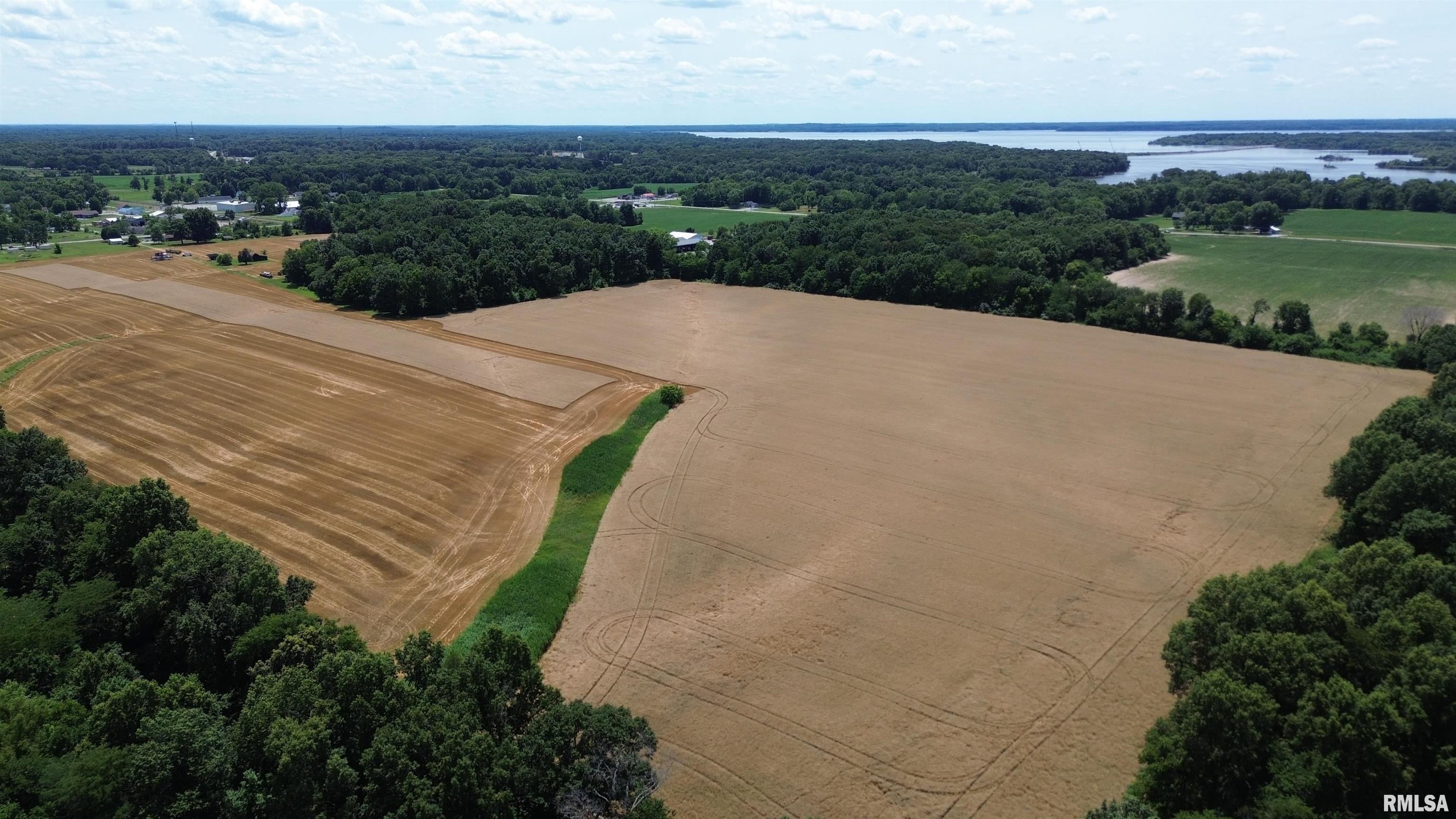 0 Ewing Road Whittington, IL 62897 - Photo 6 of 18