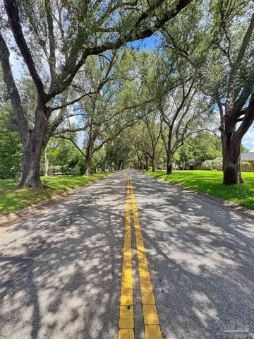 a view of park with large trees