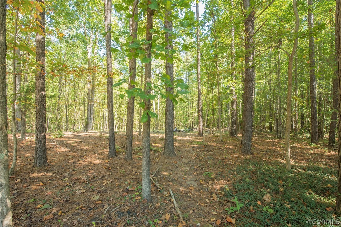 10017 Courthouse Road Dinwiddie, VA 23841 - Photo 42 of 48 Gallery Image 42