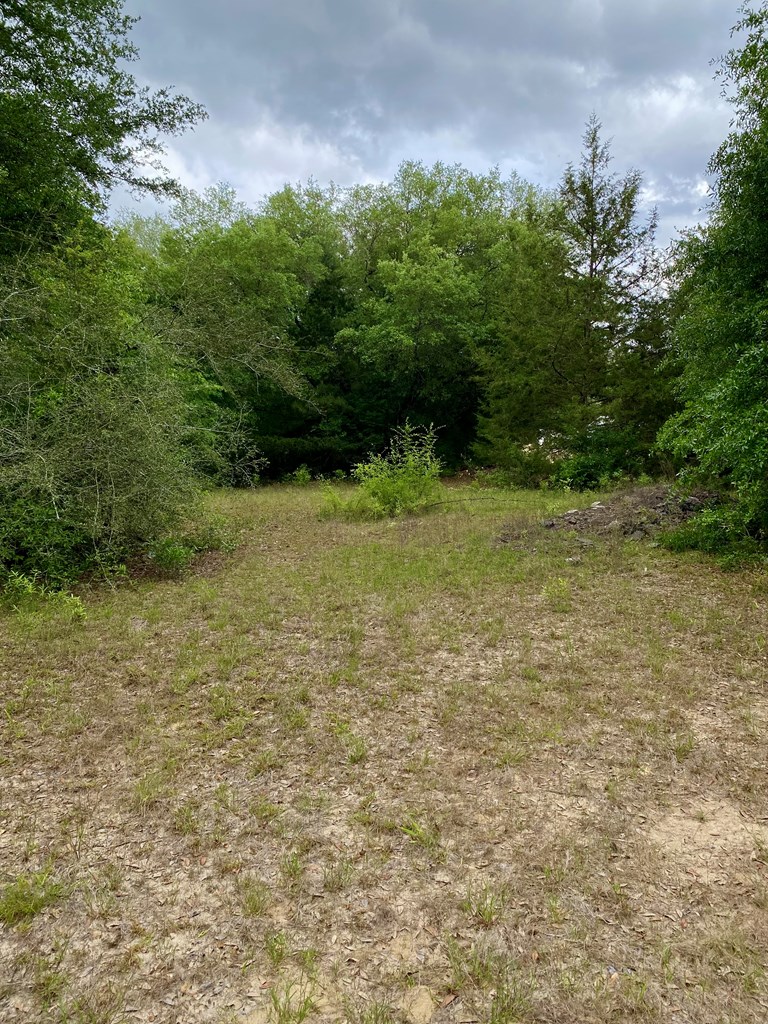 3-acres Grove Road Hartford, AL 36344 - Photo 4 of 6