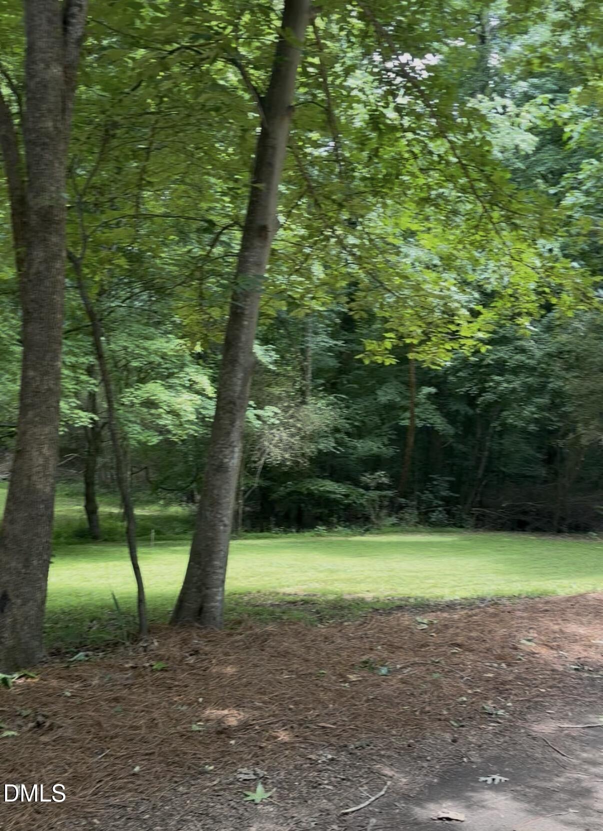 3109 Manor Ridge Drive Raleigh, NC 27603 - Photo 25 of 38 Side Lot2