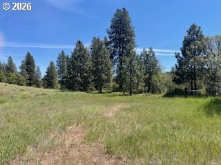 124 Woodland Road Goldendale, WA 98620 - Photo 11 of 27 Gallery Image 11