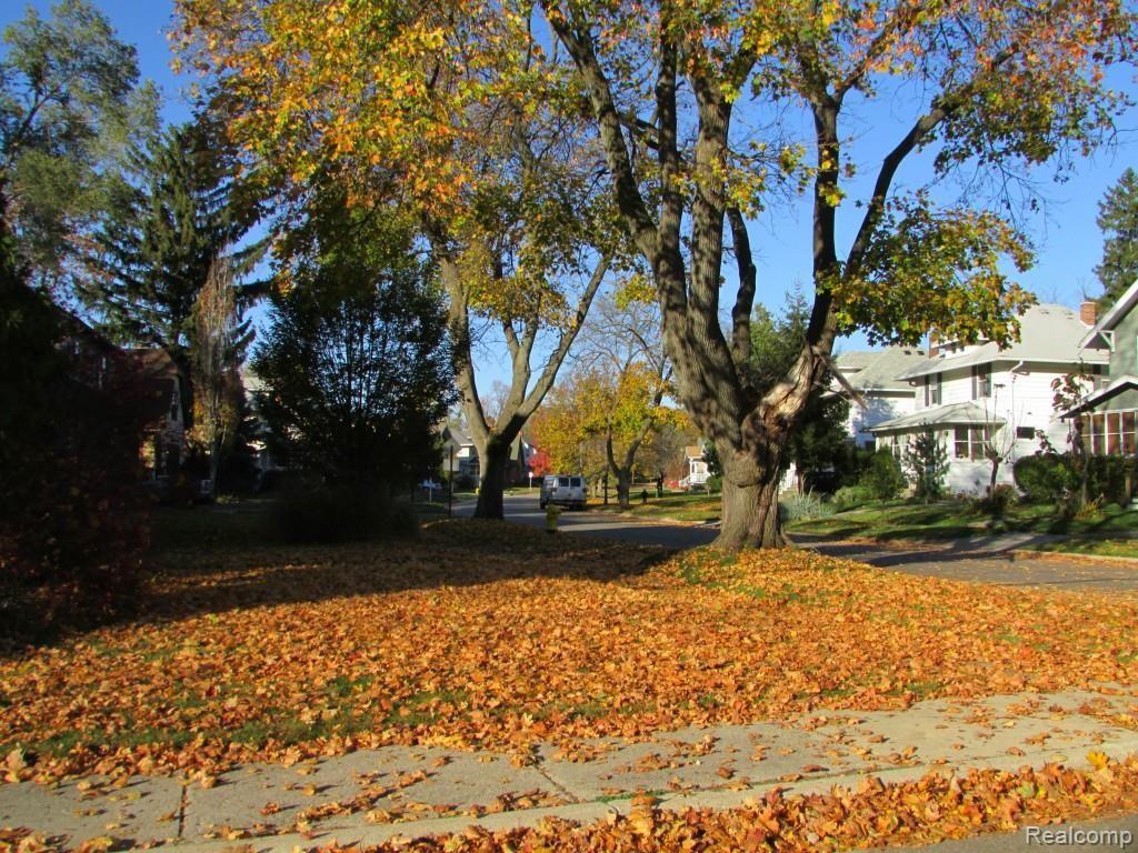 73 Miami Road Pontiac, MI 48341 - Photo 8 of 26 8.JPG