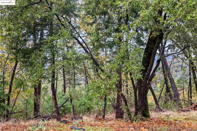 $490,000 | 17943 Plateau Road, Sonora, CA 95370