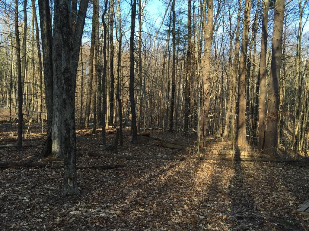 456 Barnard Hill Road Weare, NH 03281 - Photo 9 of 28 Gallery Image 9