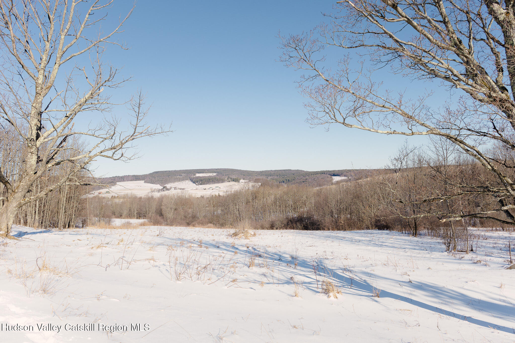 455 Bailey Road Stamford, NY 12167 - Photo 36 of 42 36