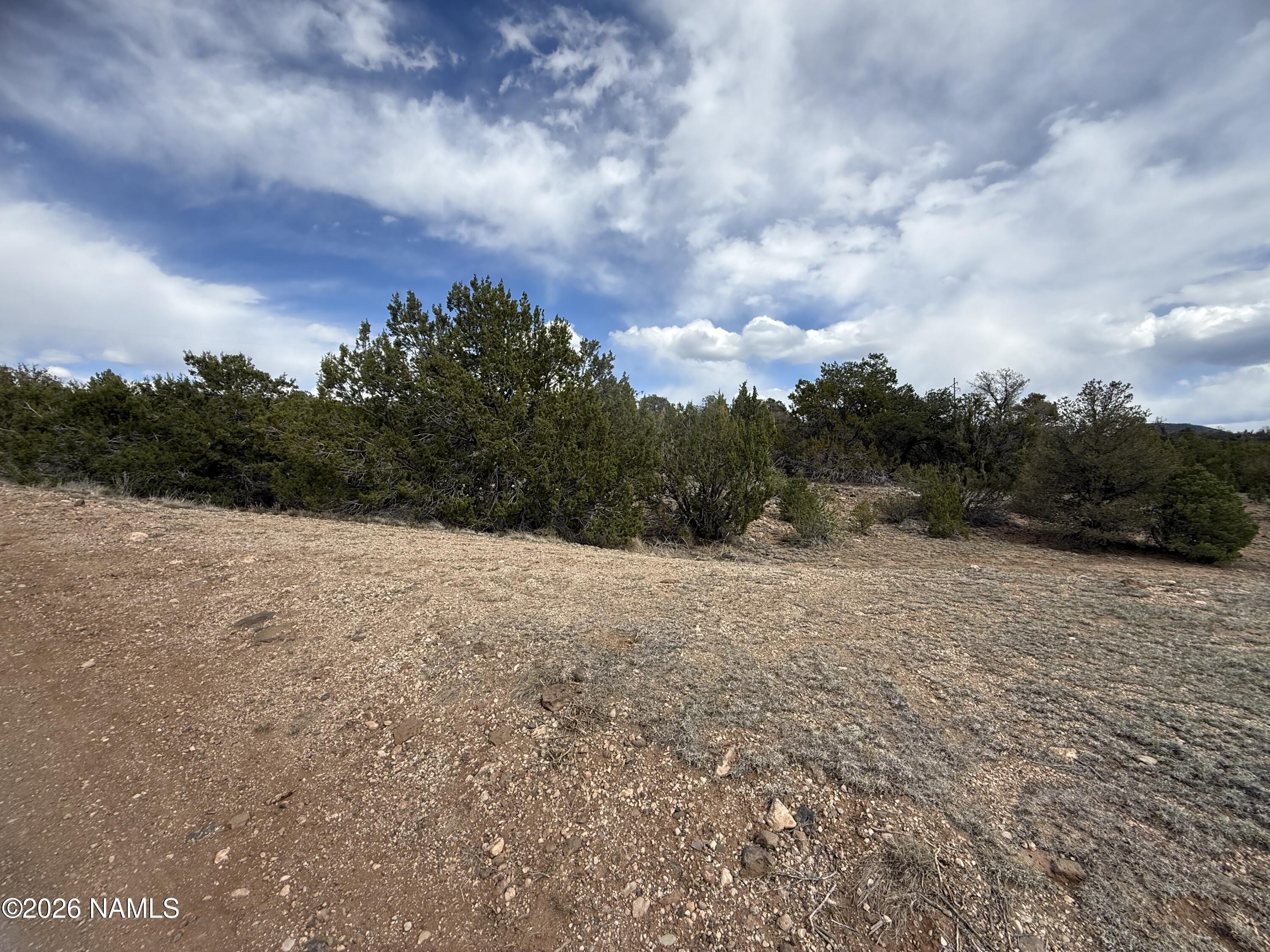 12581 North Chino Road Williams, AZ 86046 - Photo 5 of 15 IMG_5253