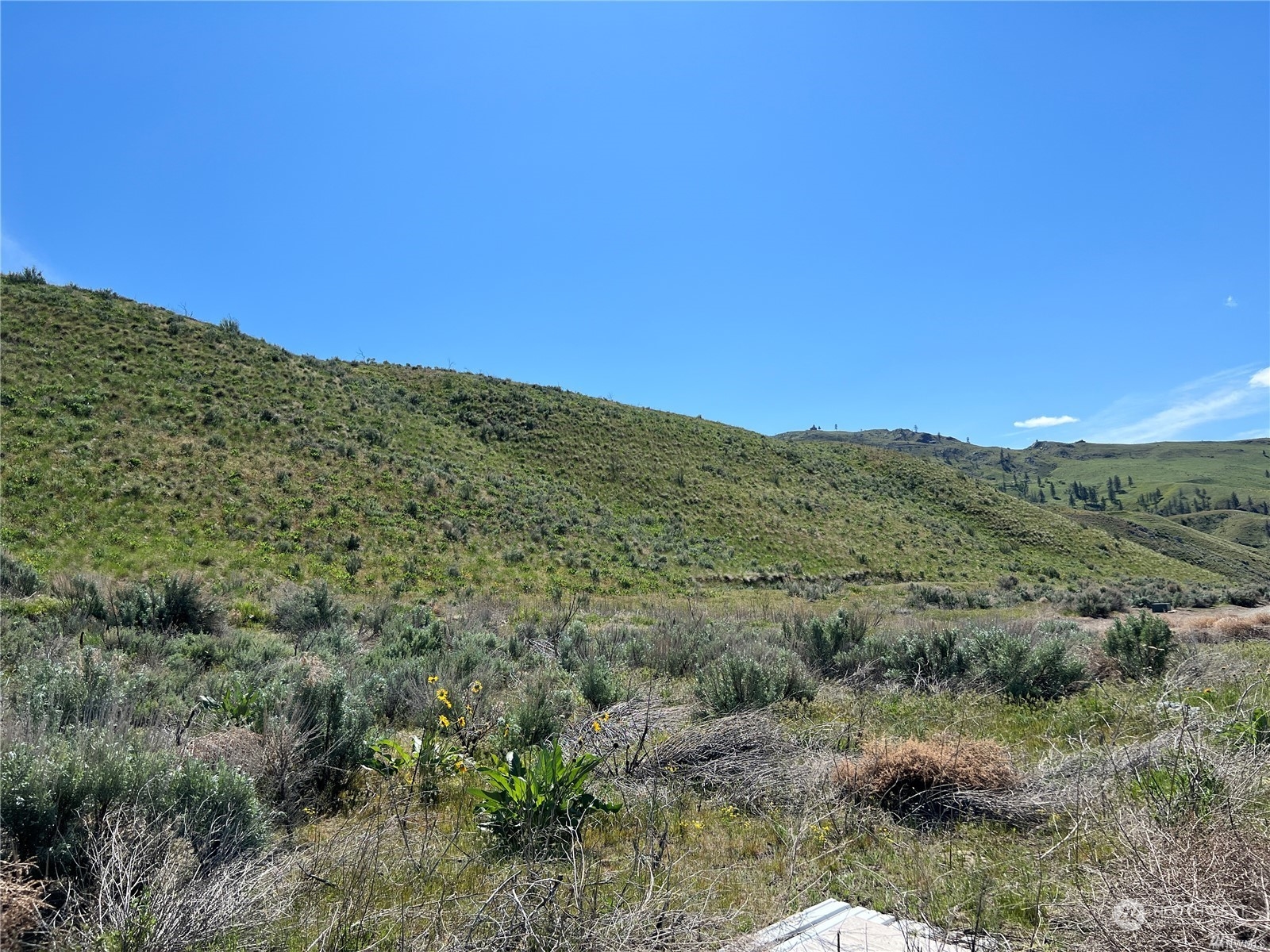 12 Backcast Road Pateros, WA 98846 - Photo 13 of 35 Gallery Image 13