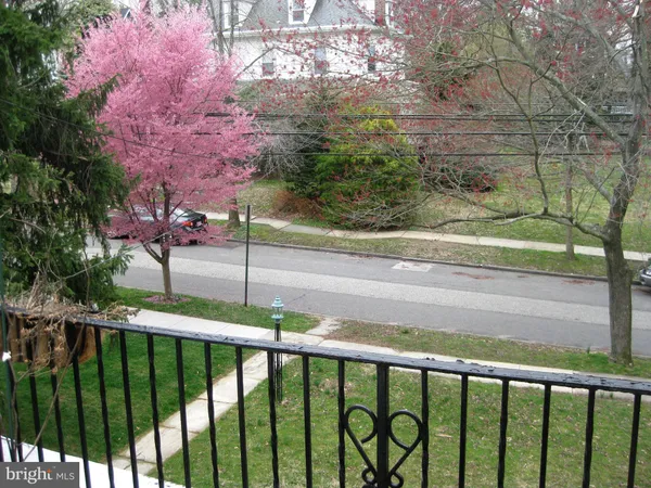 a view of a pathway of a yard