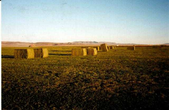 Quilter Ranch Tonopah, NV 89049 - Photo 5 of 5 Gallery Image 5