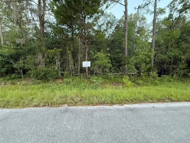 $13,000 | 905 East Hillsborough Avenue, Florahome, FL 32140