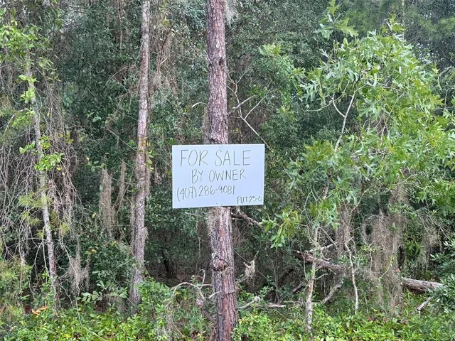 $13,000 | 905 East Hillsborough Avenue, Florahome, FL 32140