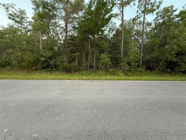 $13,000 | 905 East Hillsborough Avenue, Florahome, FL 32140