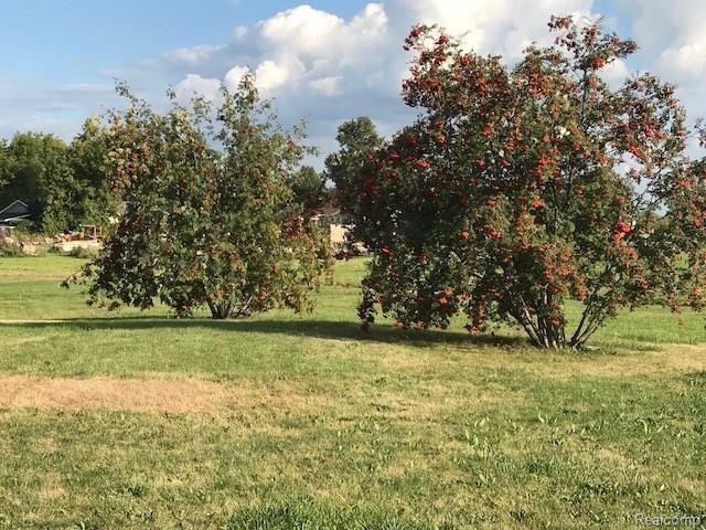 9050 North Center Road Clio, MI 48420 - Photo 66 of 74 center67.jpg