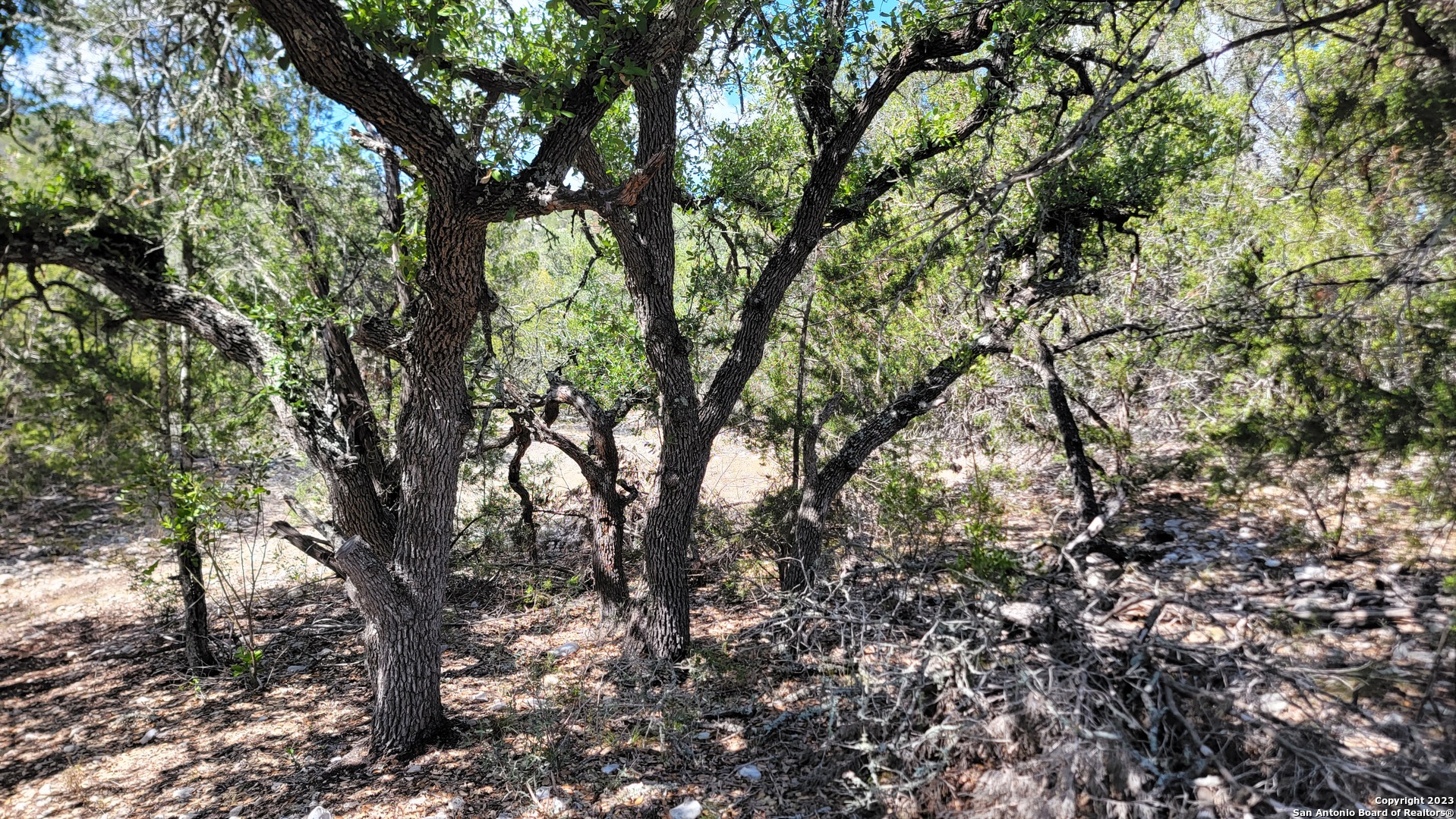 0 Stagecoach Rocksprings, TX 78880 - Photo 11 of 24