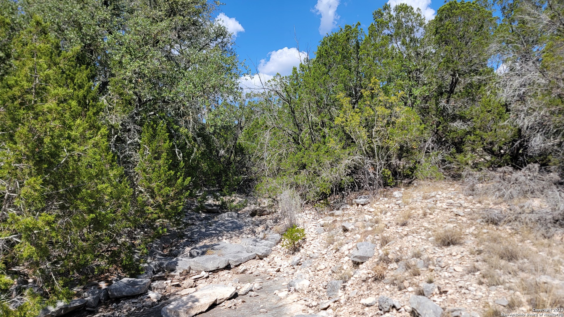 0 Stagecoach Rocksprings, TX 78880 - Photo 12 of 24 a view of a yard with a tree