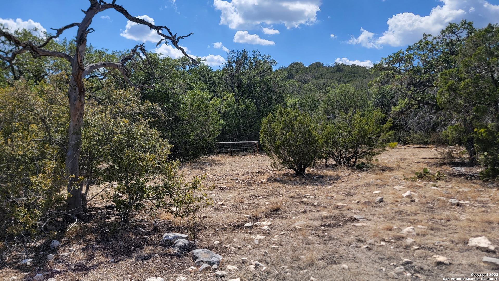0 Stagecoach Rocksprings, TX 78880 - Photo 13 of 24 a view of a yard with a tree