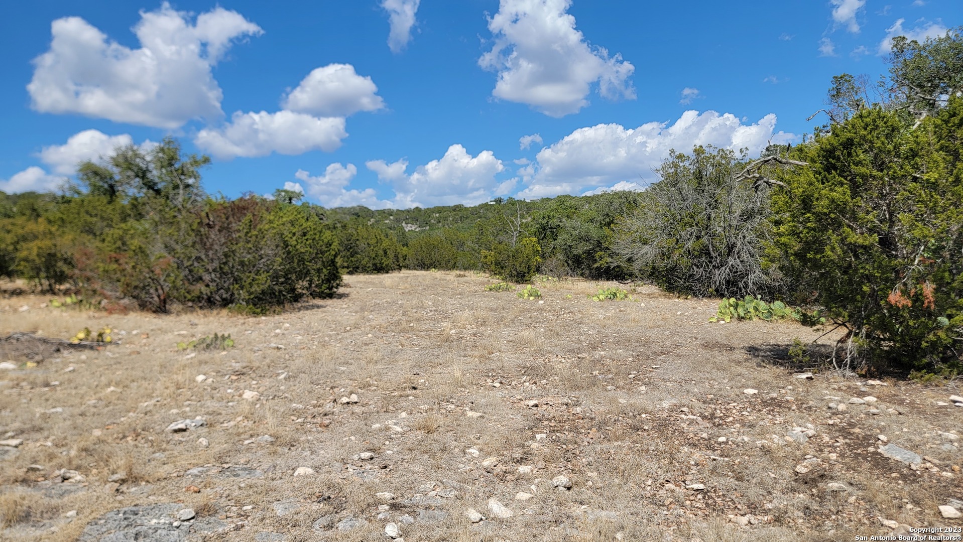 0 Stagecoach Rocksprings, TX 78880 - Photo 14 of 24 a view of a bunch of trees