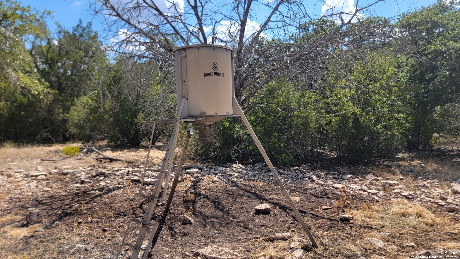 0 Stagecoach Rocksprings, TX 78880 - Photo 15 of 24 a view of a forest with trees