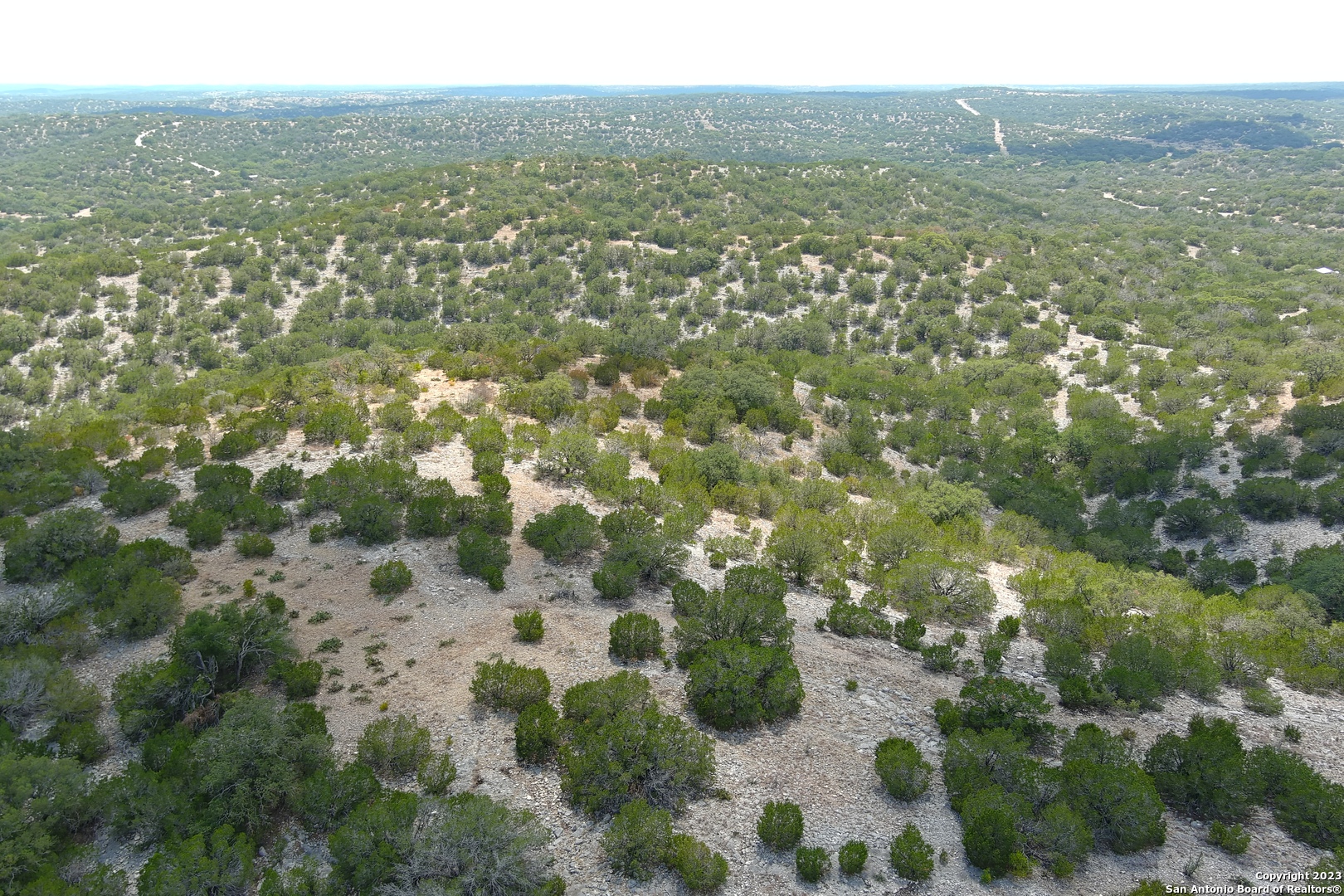 0 Stagecoach Rocksprings, TX 78880 - Photo 19 of 24 a view of a forest with a mountain