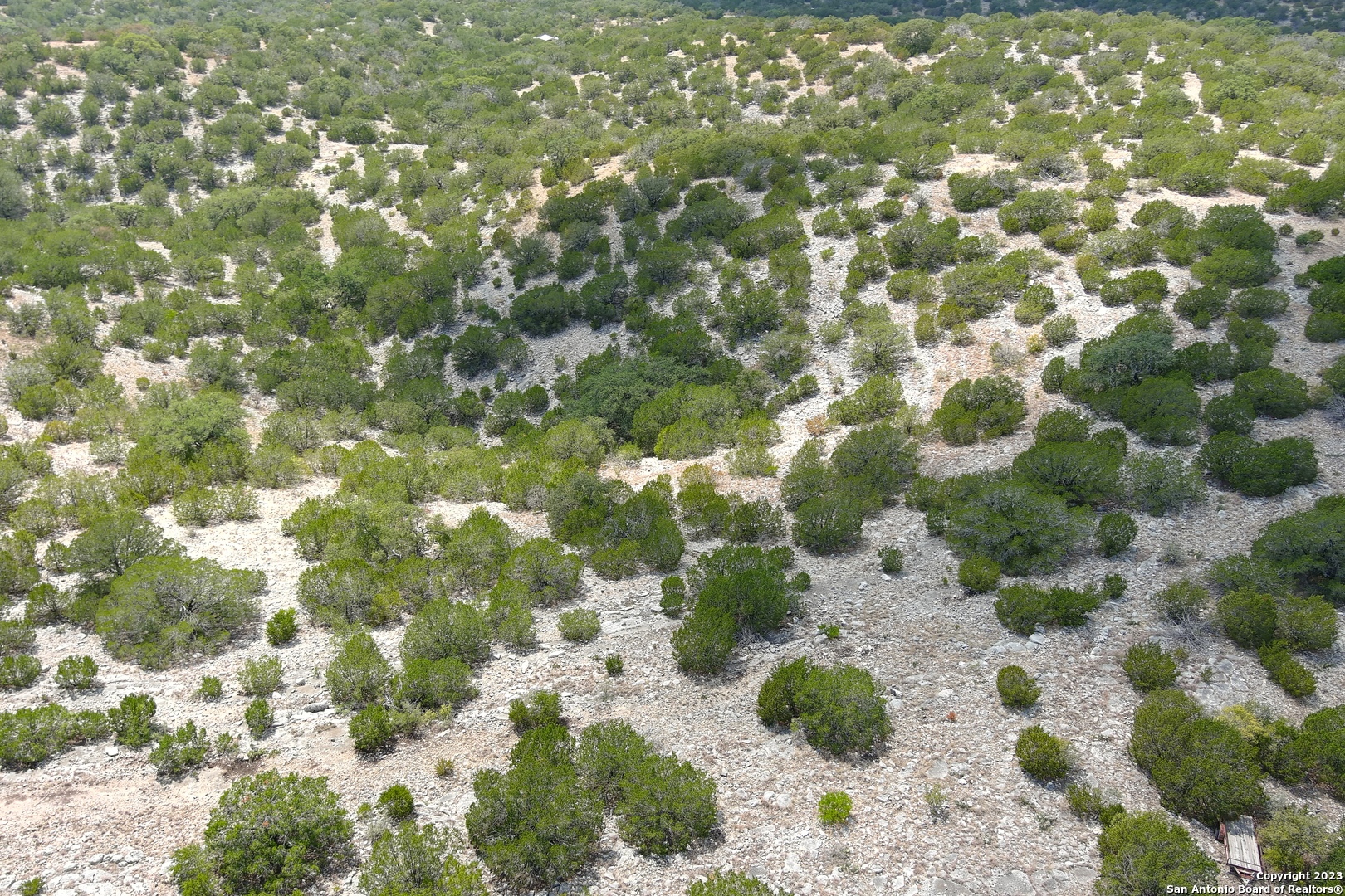 0 Stagecoach Rocksprings, TX 78880 - Photo 21 of 24 a view of a bunch of trees