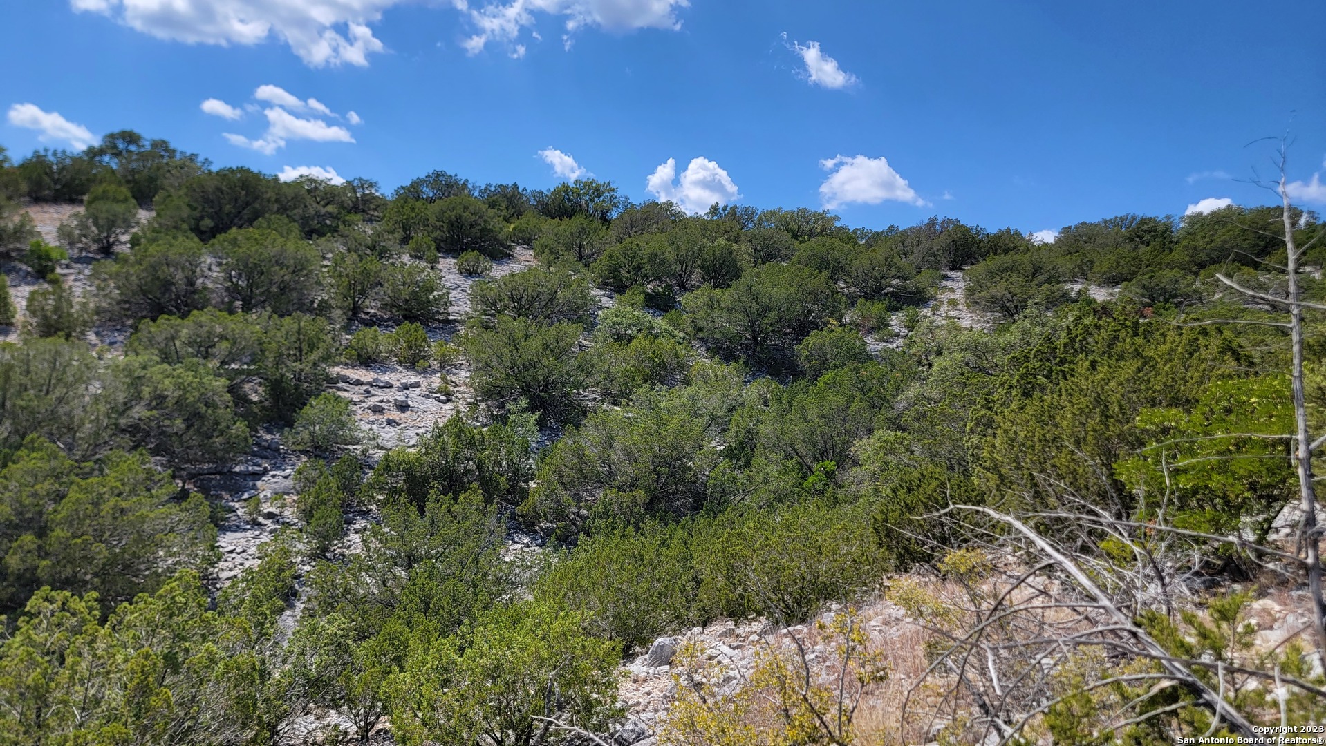 0 Stagecoach Rocksprings, TX 78880 - Photo 8 of 24