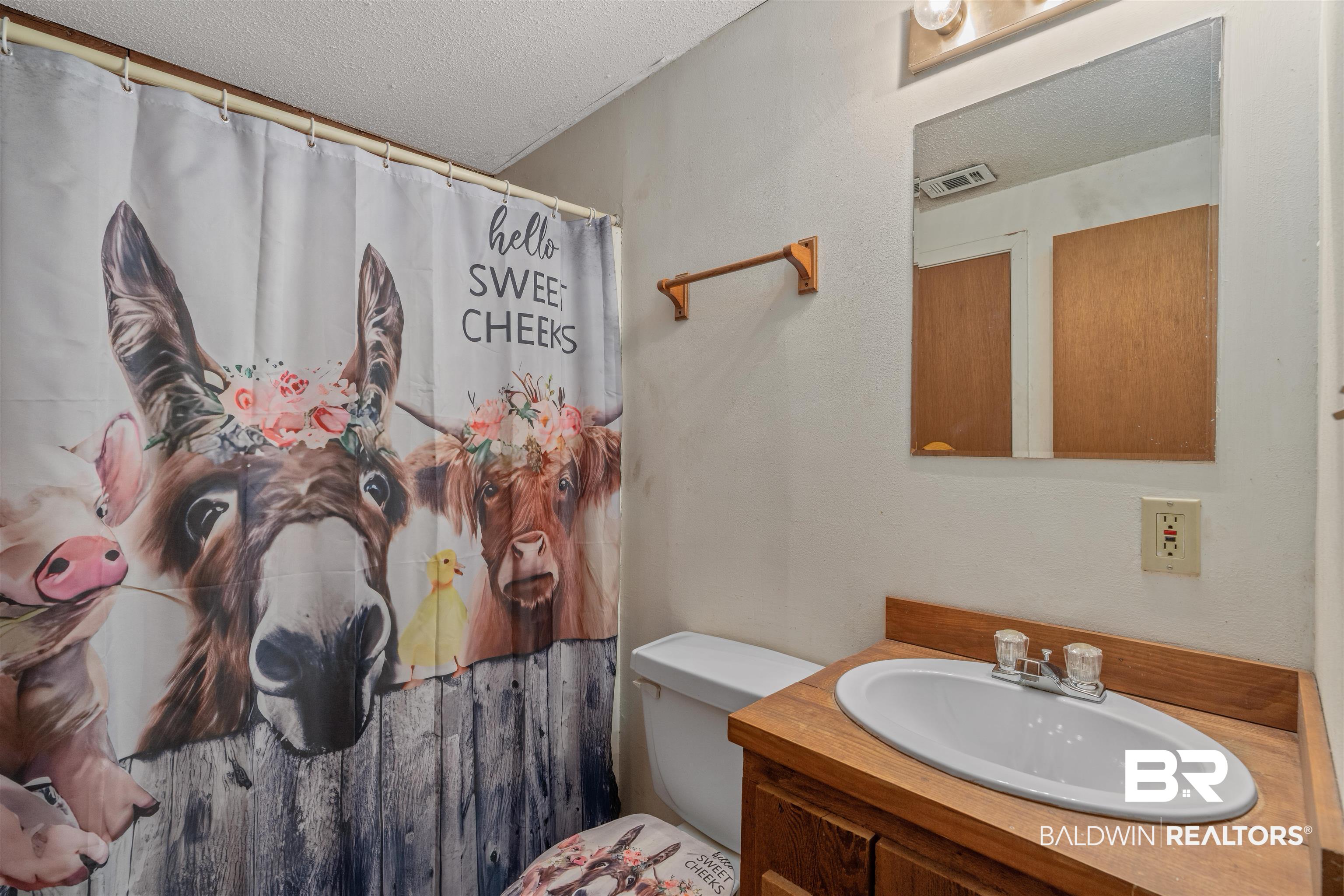 4131 Greaves Road Eight Mile, AL 36613 - Photo 15 of 39 Bathroom featuring a shower with curtain, vanity, a textured ceiling, and toilet