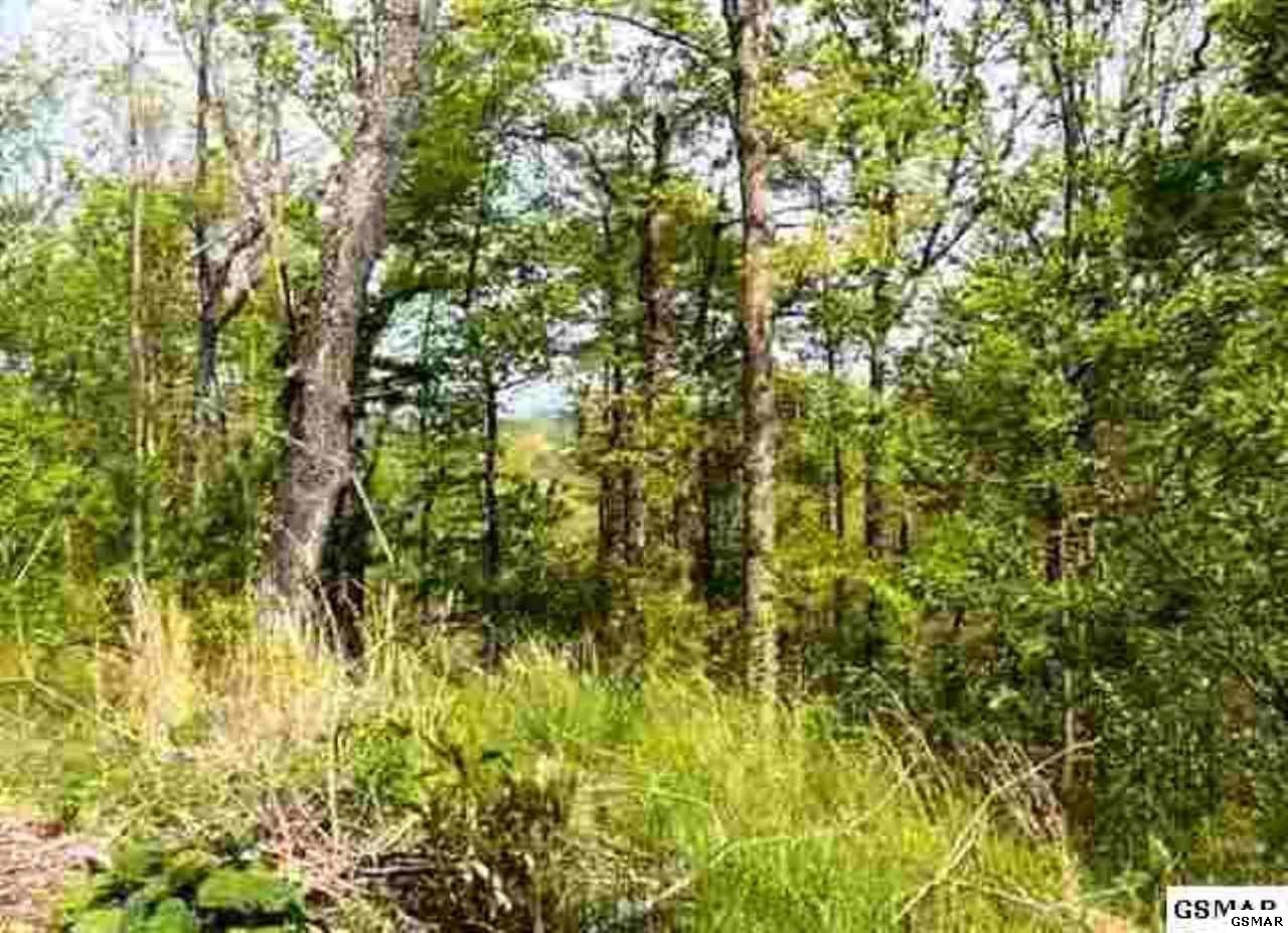 76 Bluff Ridge Road Sevierville, TN 37876 - Photo 1 of 8 a view of a yard
