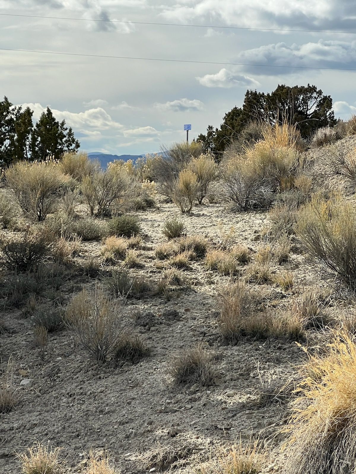 N/a Grant Avenue Spring Creek, NV 89815 - Photo 5 of 10
