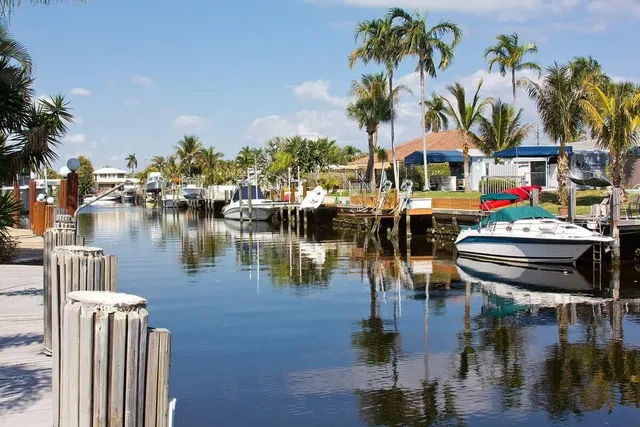 a view of a lake with boats and palm trees