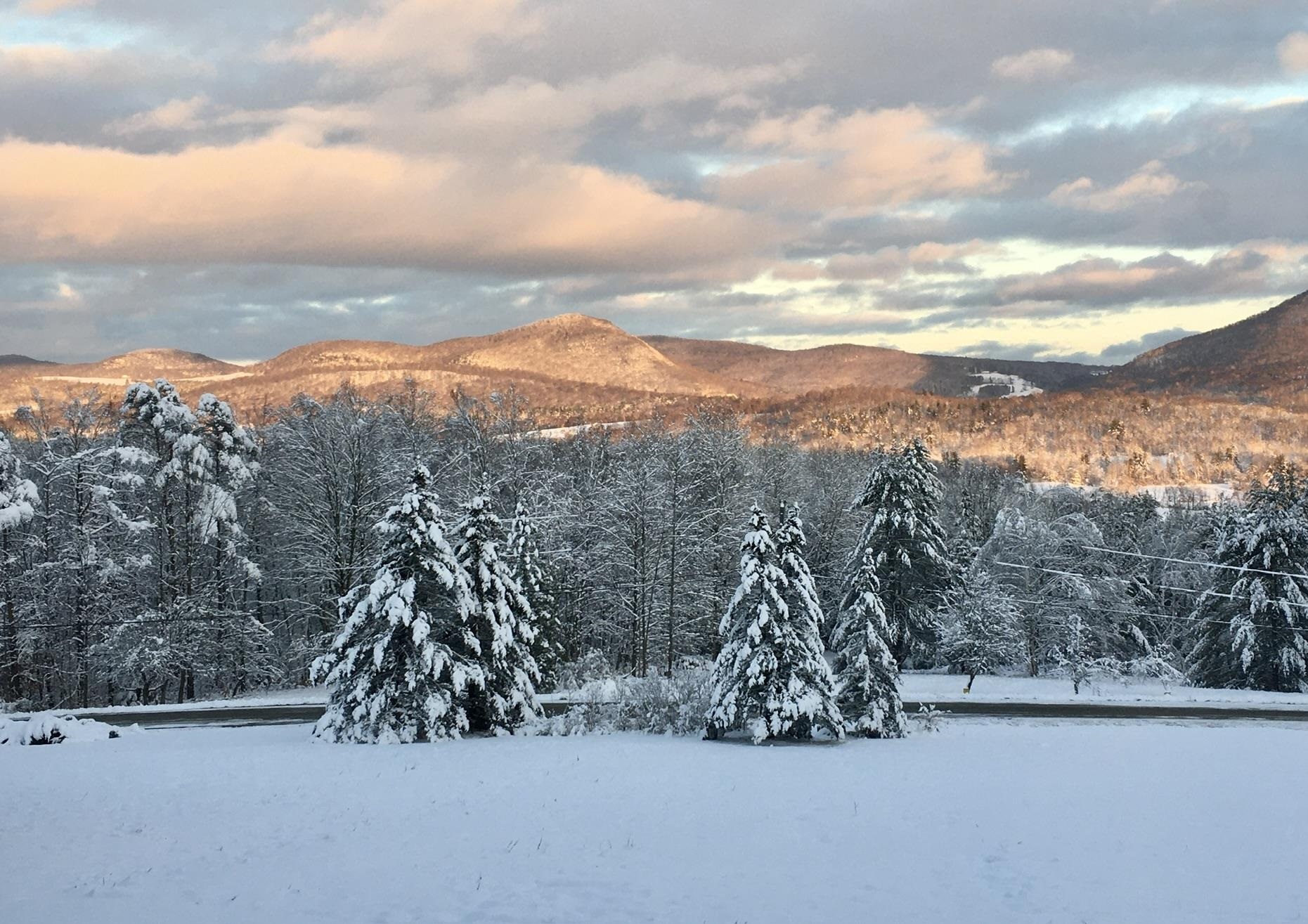 330 Deer Run Road Pawlet, VT 05761 - Photo 58 of 60