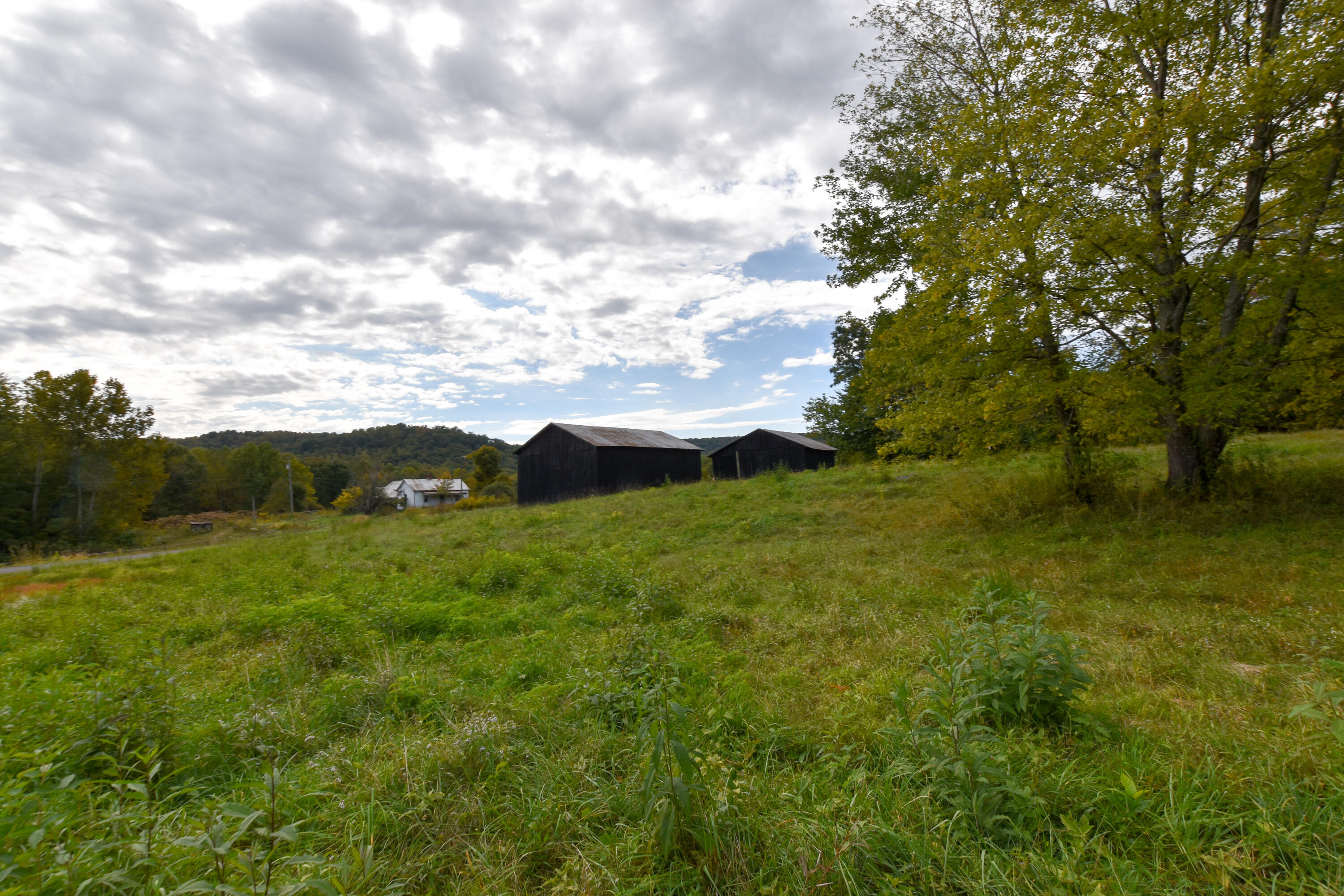 2390 Beechy Creek Road Wallingford, KY 41093 - Photo 79 of 89 DSC_0141