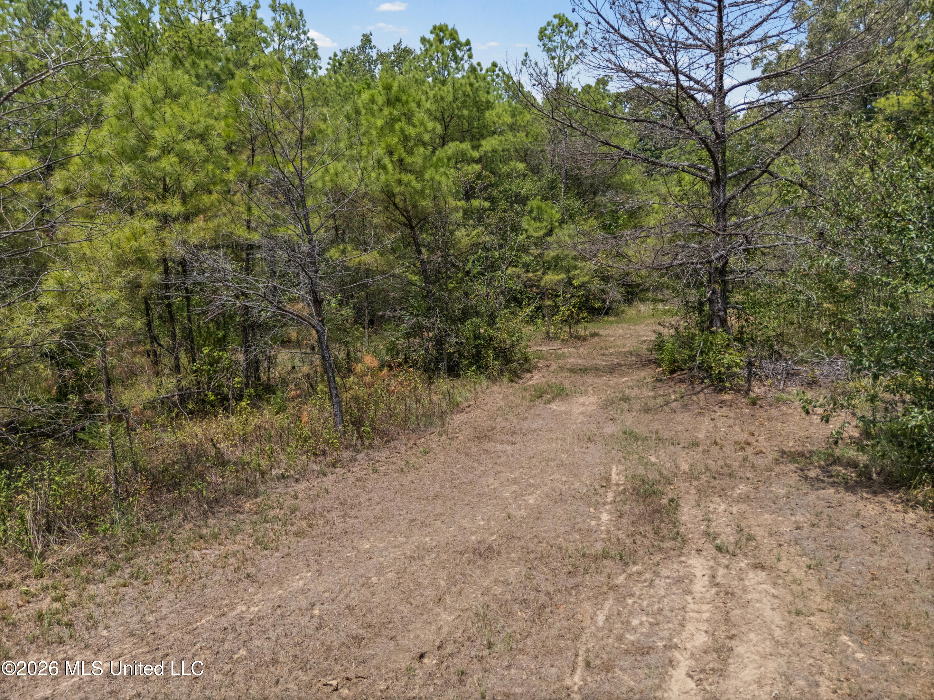 Brownlee Road Sarah, MS 38665 - Photo 6 of 20 8_dji_20260824125236_0105_d_print