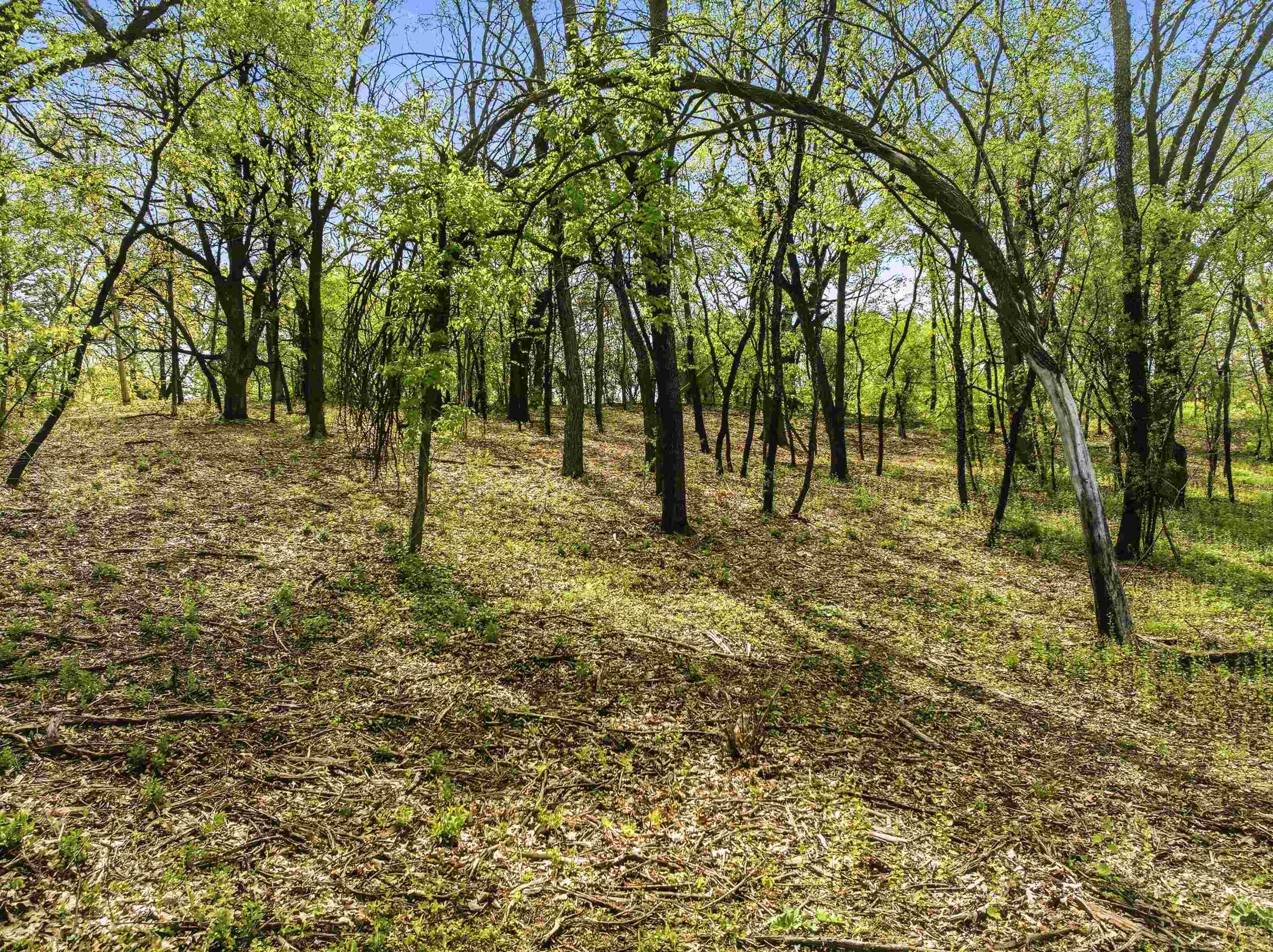 N4087 County Rd A Cambridge, WI 53523 - Photo 3 of 11