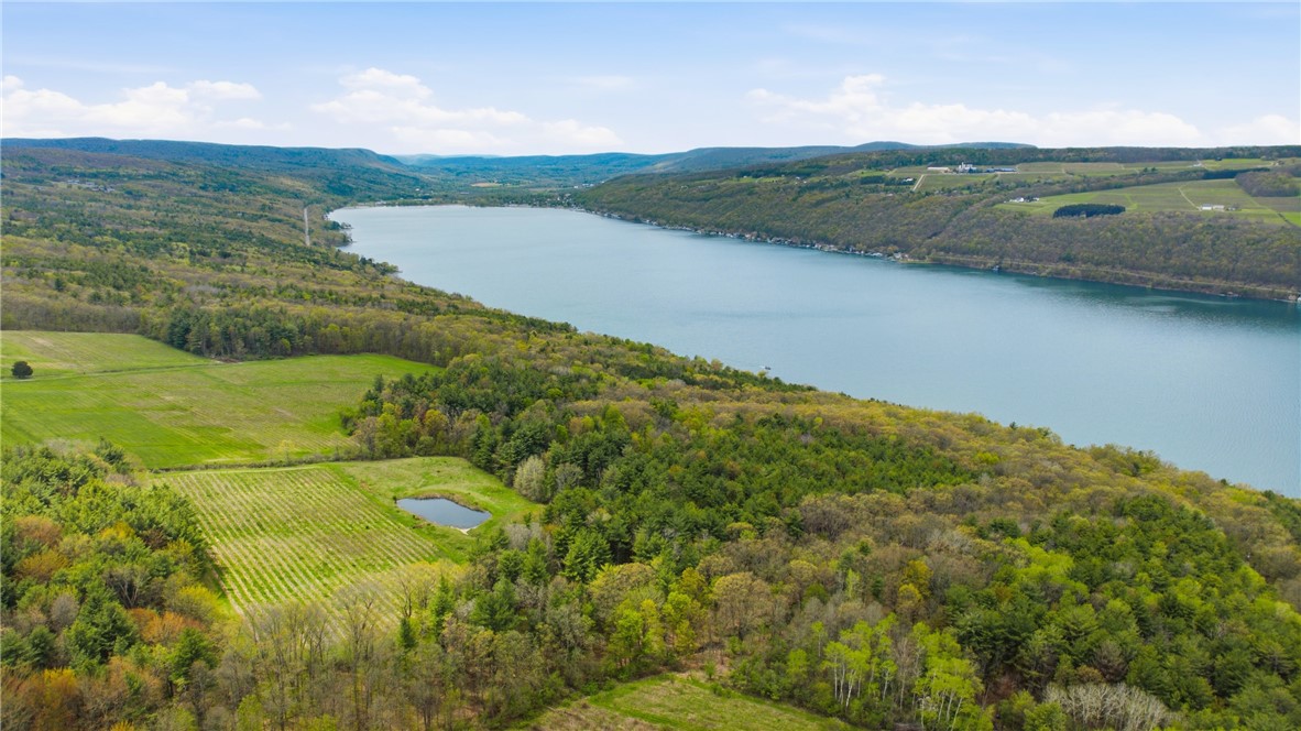Silvernail Road Hammondsport, NY 14840 - Photo 16 of 25