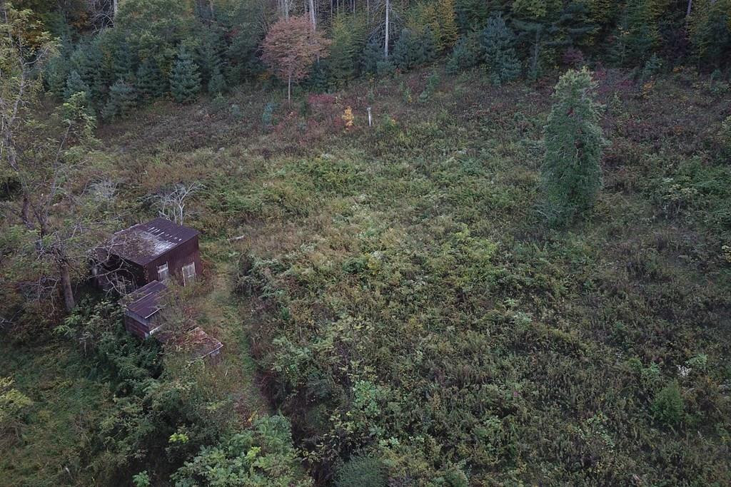 7356 Snowbird Road Robbinsville, NC 28771 - Photo 37 of 45 Gallery Image 37